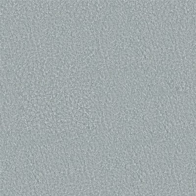 Richmond Артекс Grey