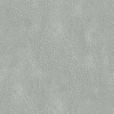 Richmond Артекс Light grey