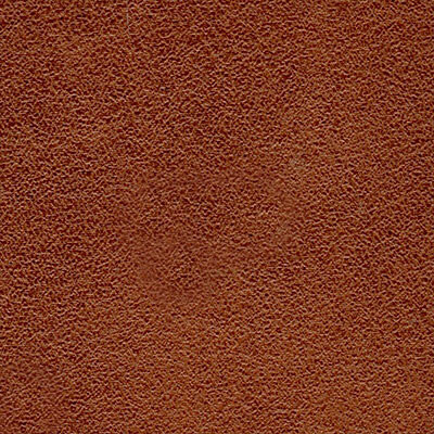 London шкірзам Bjorn London 06