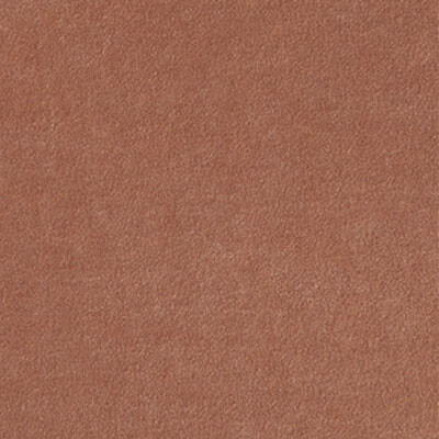 Nessi Дивотекс Nessi 13 Apricot