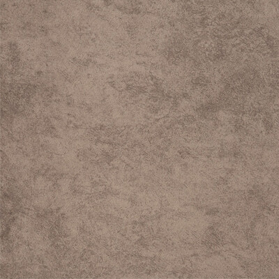 Nevada UMa Nevada latte