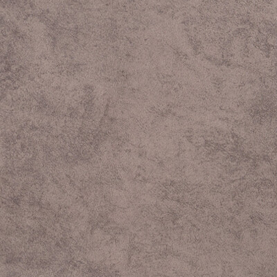 Nevada UMa Nevada mocca