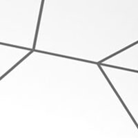 нимфеа альба, шелкография, лак