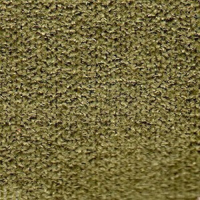 New York Артекс Olive