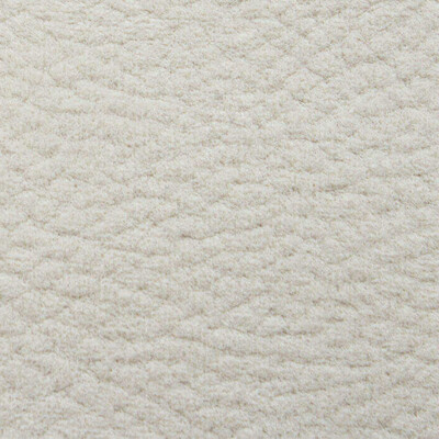 Phlox Дивотекс Phlox 1