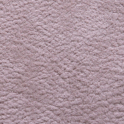 Phlox Дивотекс Phlox 10