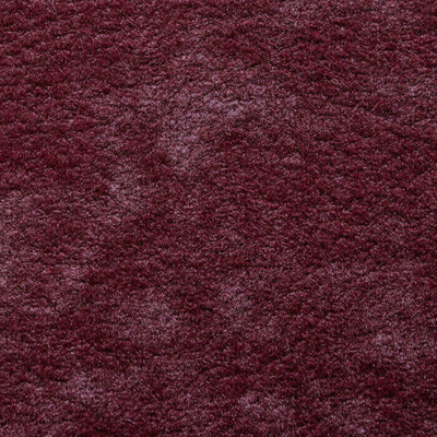 Phlox Дивотекс Phlox 11