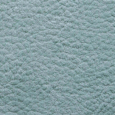 Phlox Дивотекс Phlox 15