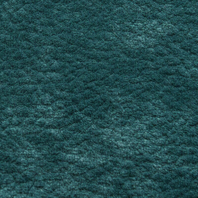 Phlox Дивотекс Phlox 18