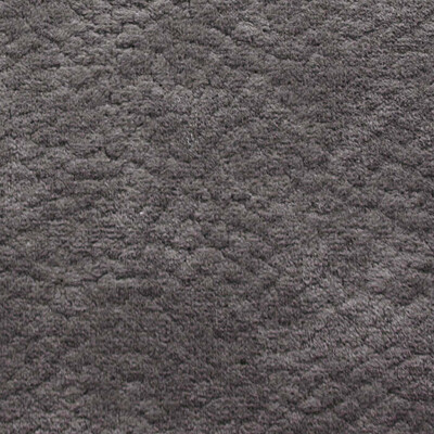 Phlox Дивотекс Phlox 20