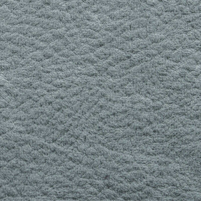 Phlox Дивотекс Phlox 21