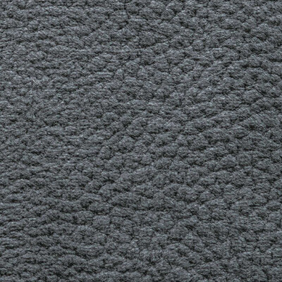 Phlox Дивотекс Phlox 22