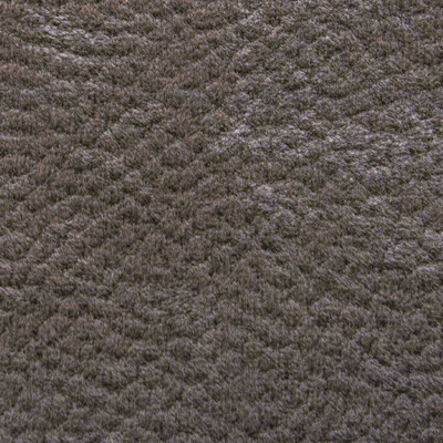 Phlox Дивотекс Phlox 24