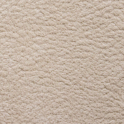 Phlox Дивотекс Phlox 3