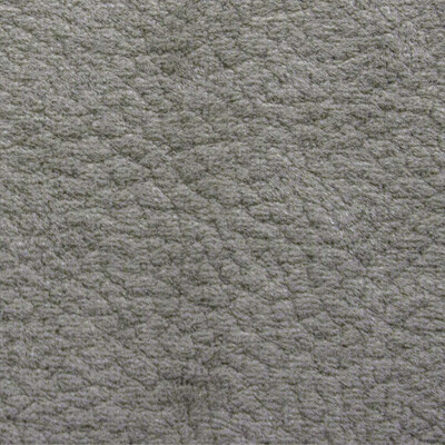 Phlox Дивотекс Phlox 4