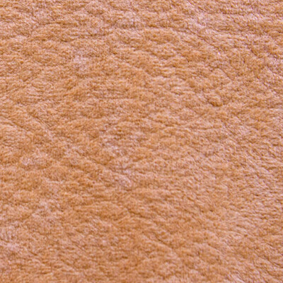 Phlox Дивотекс Phlox 8