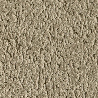 Prime Дивотекс Prime 307 Camel