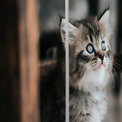 рисунок №15