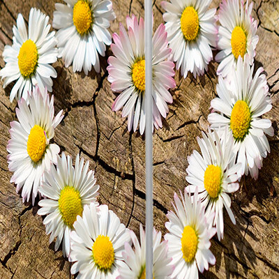 рисунок №16