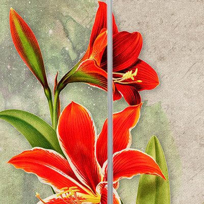 рисунок №21