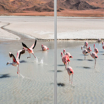 рисунок №39