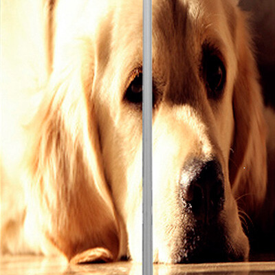 рисунок №40