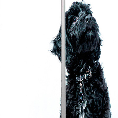 рисунок №41