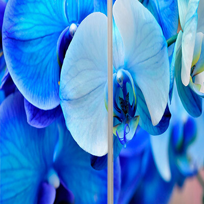 рисунок №43