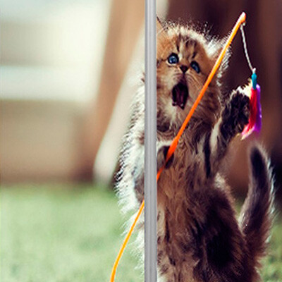 рисунок №50