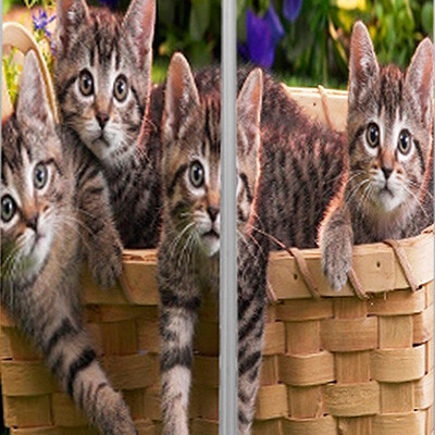 рисунок №51