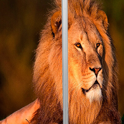 рисунок №53