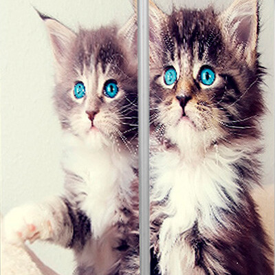 рисунок №59