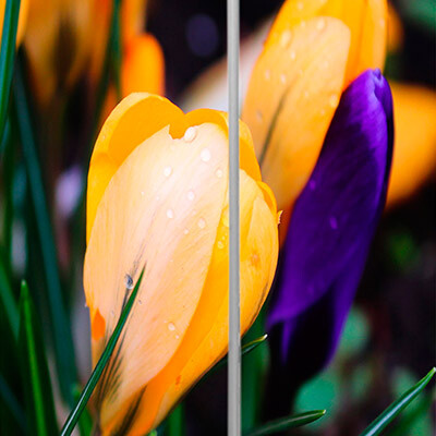 рисунок №80