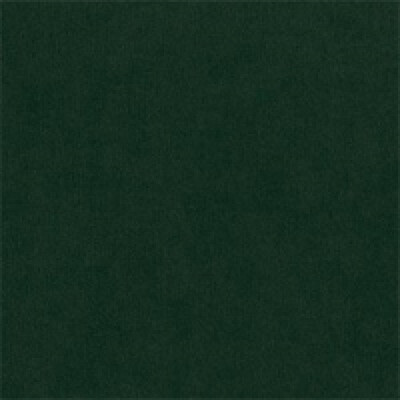 Riviera Bjorn Riviera 38