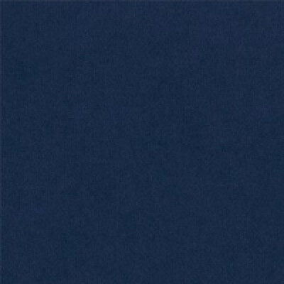 Riviera Bjorn Riviera 81