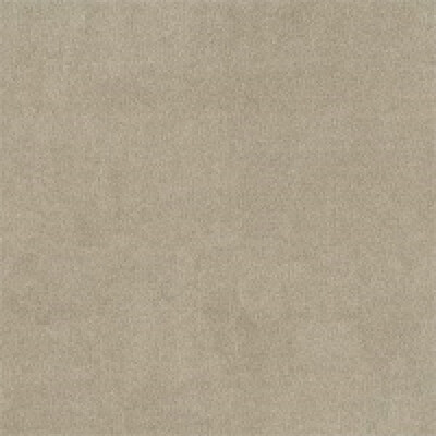 Riviera Bjorn Riviera 21