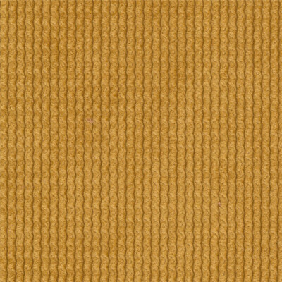 Run again UMa Run again 48