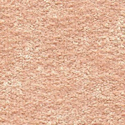 New York Артекс Salmon