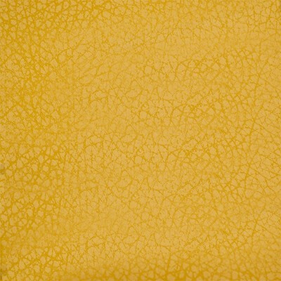 Seattle Артекс Seattle_Camel