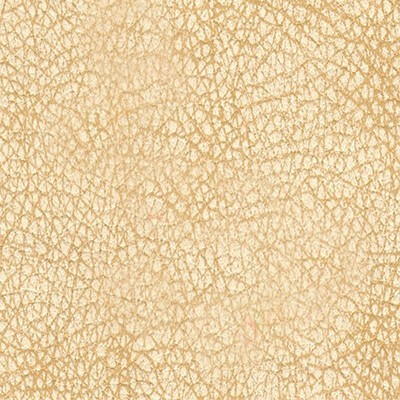 Seattle Артекс Seattle_latte