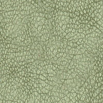 Seattle Артекс Seattle_Olive