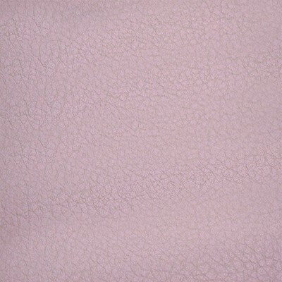 Seattle Артекс Seattle_Sesame