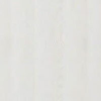 сосна срібна