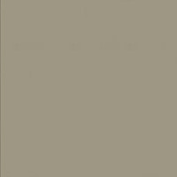 світлий какао