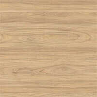 Вяз-Швейцарский-0310 ДСП