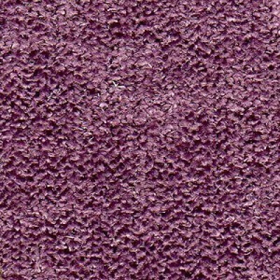 New York Артекс Violet