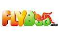 Flybag