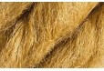 Sisal