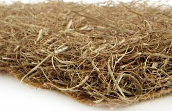 Морська трава