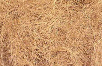 CocoFiber